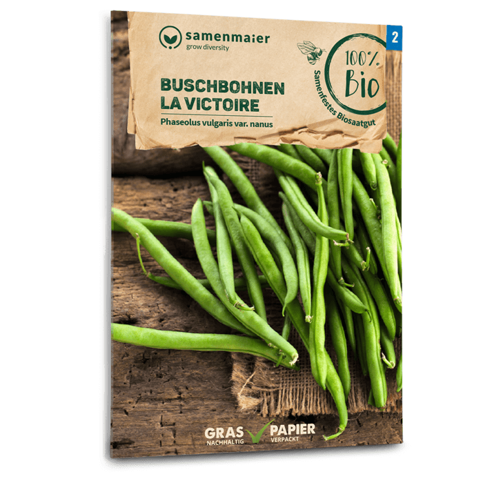 Samen Maier BIO Buschbohnen La Victoire