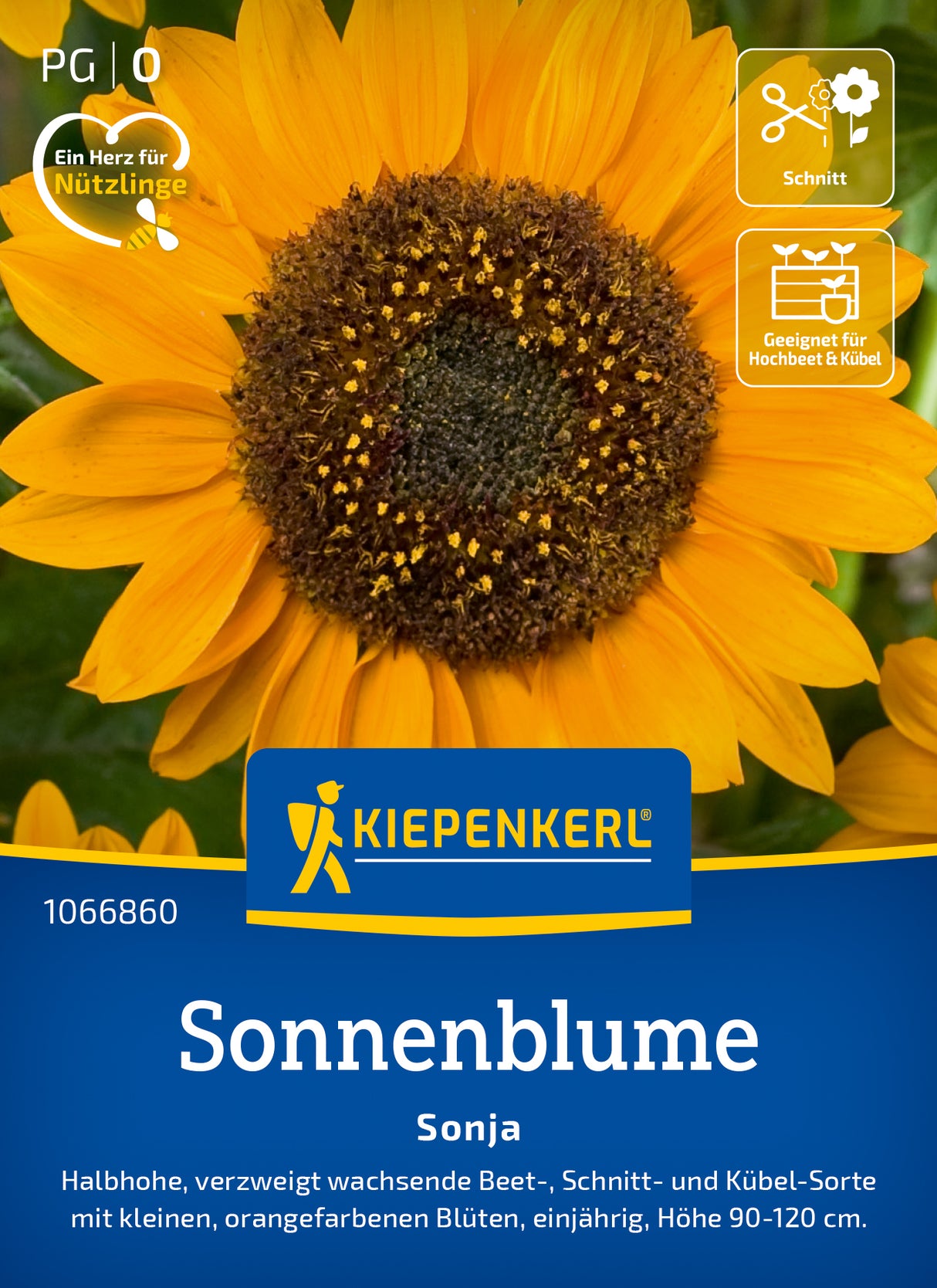 Kiepenkerl Sonnenblumen Sonja
