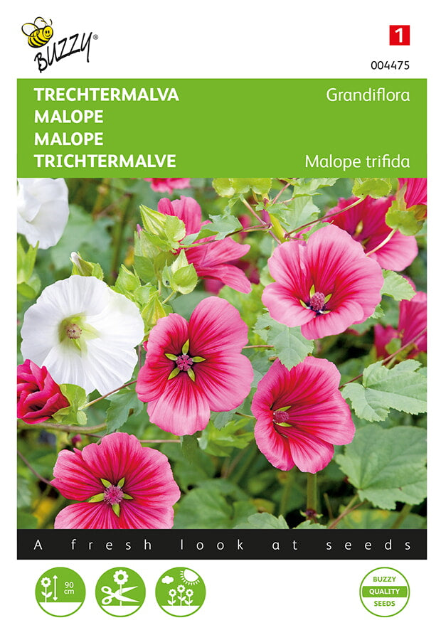 Buzzy Seeds Trichtermalve Grandiflora Mischung