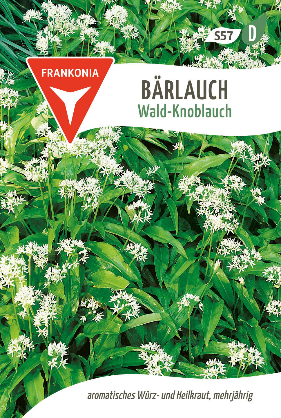 Frankonia Samen Bärlauch Wald-Knoblauch