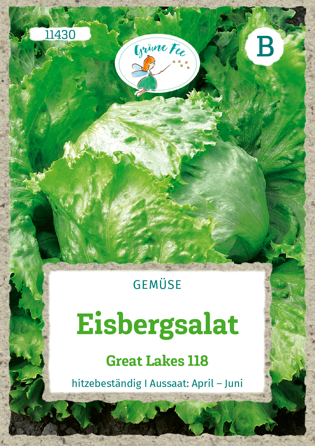 Grüne Fee Eisbergsalat Great Lakes 118