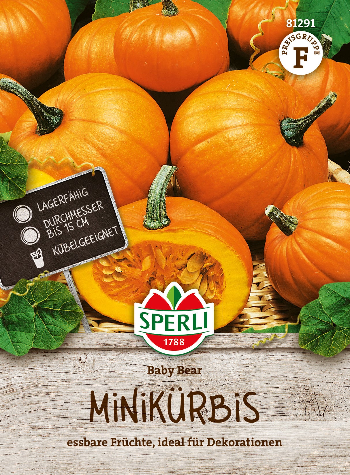 SPERLI Minikürbis Baby Bear