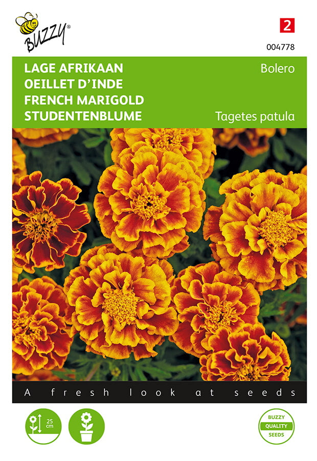Buzzy Seeds Studentenblumen Bolero