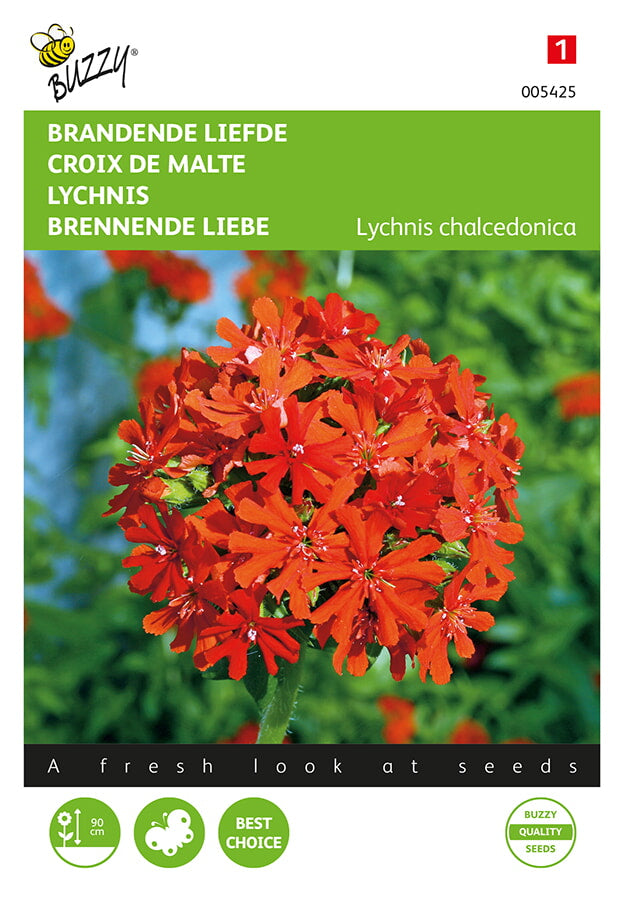 Buzzy Seeds Pechnelken Brennende Liebe