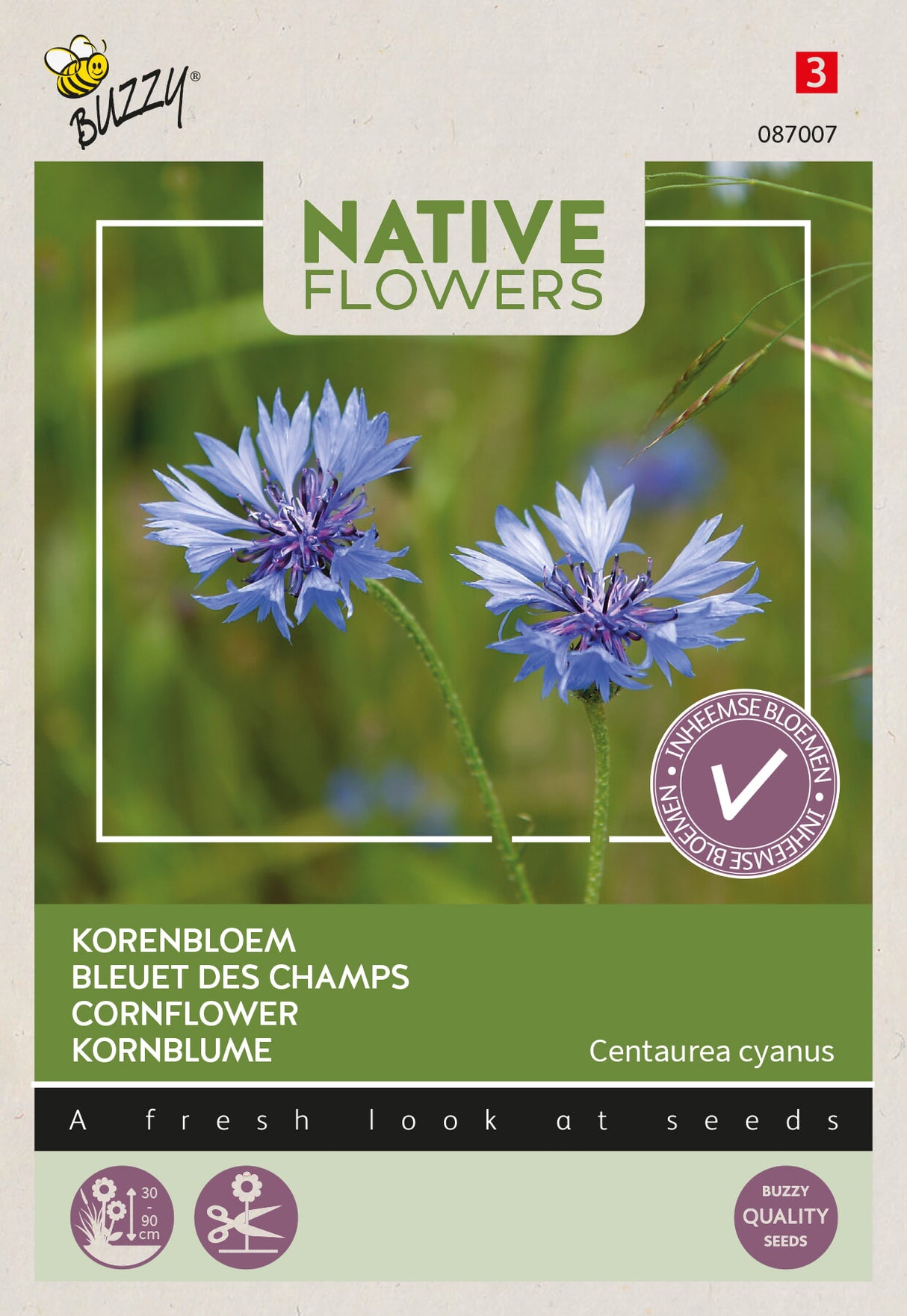 Buzzy Seeds Kornblume