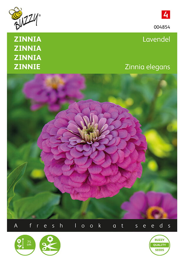 Buzzy Seeds Zinnien Lavendel