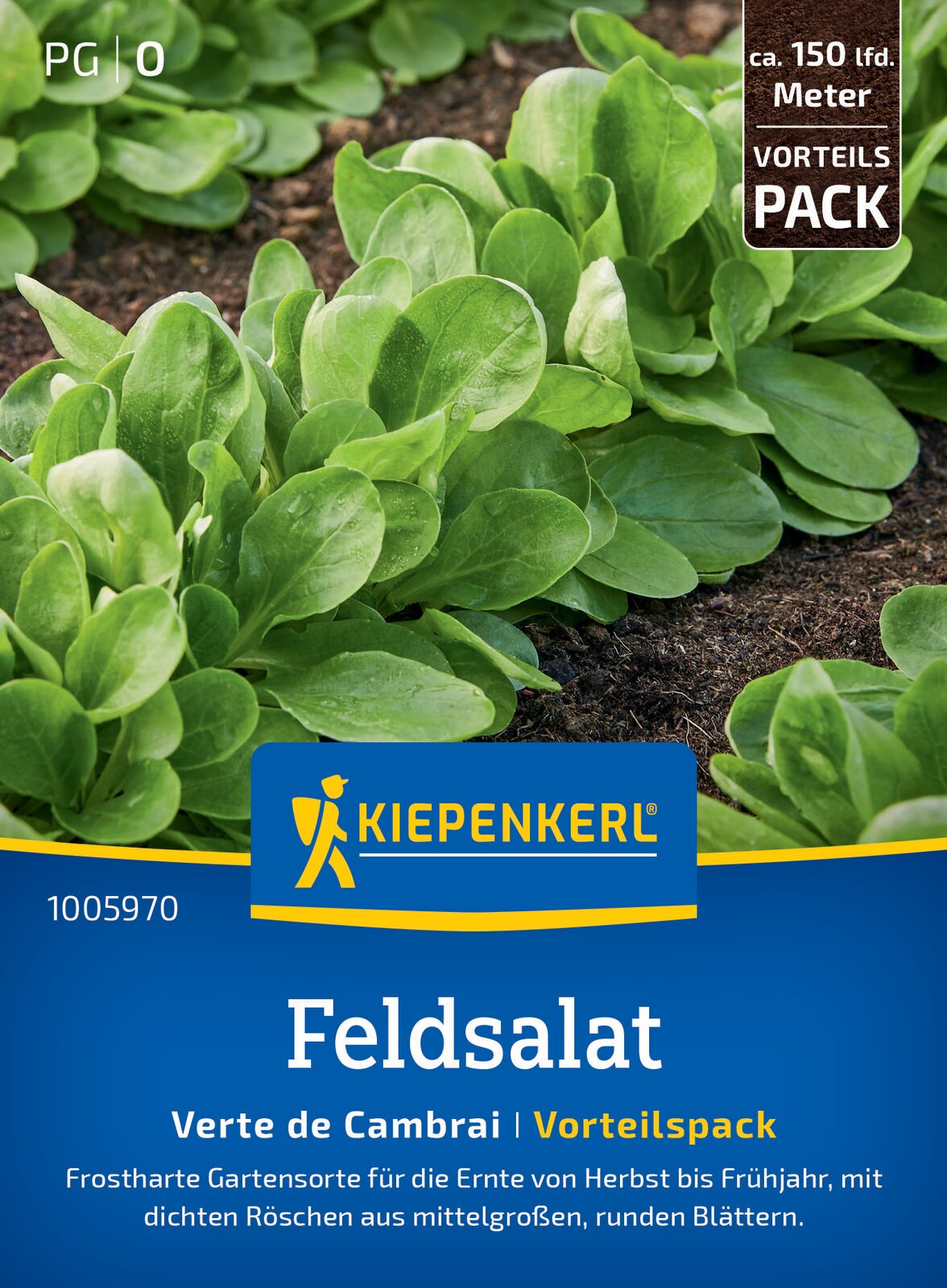Kiepenkerl Feldsalat Verte de Cambrai Vorteilspack