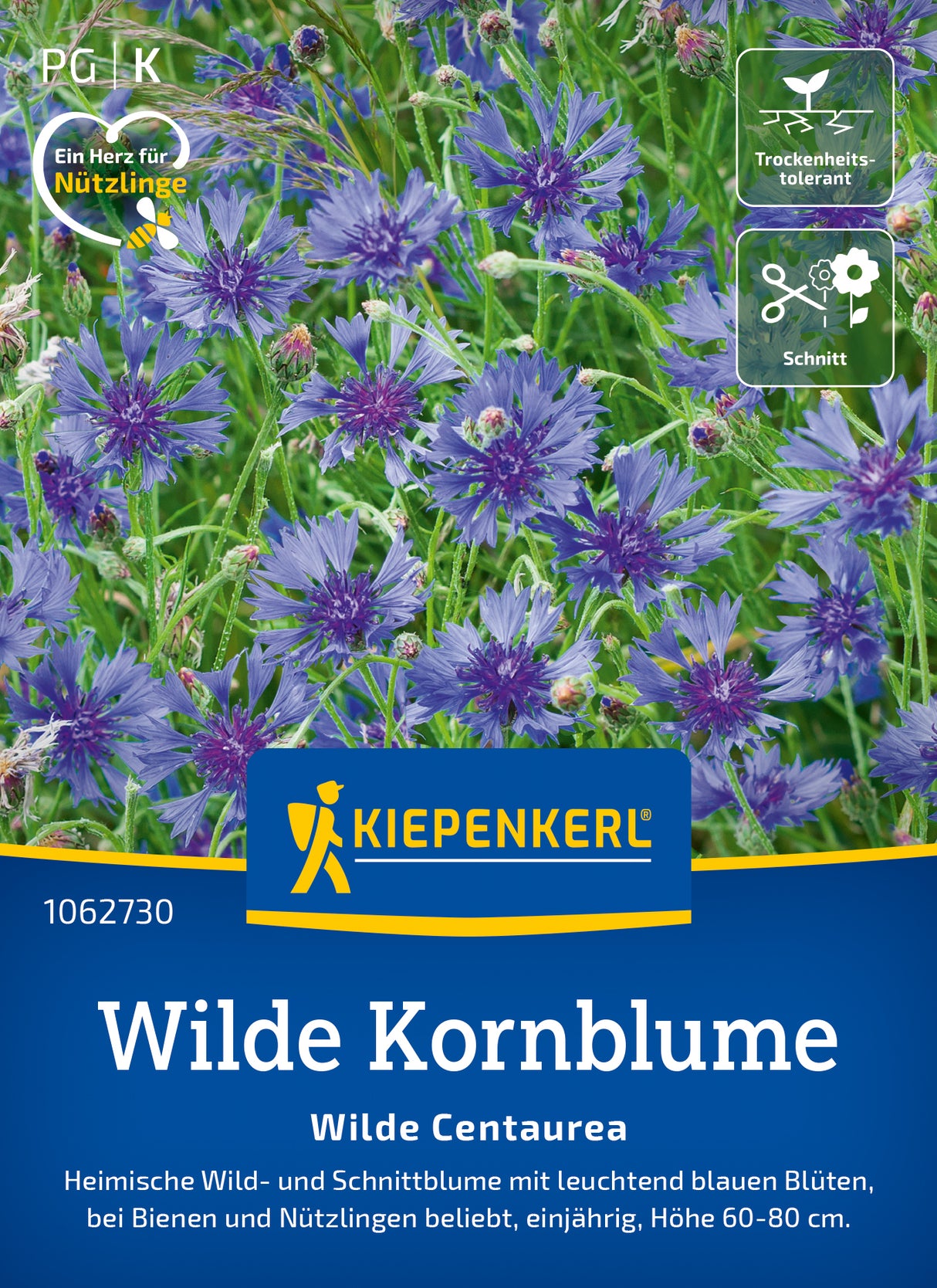 Kiepenkerl Kornblumen Wilde Centaurea