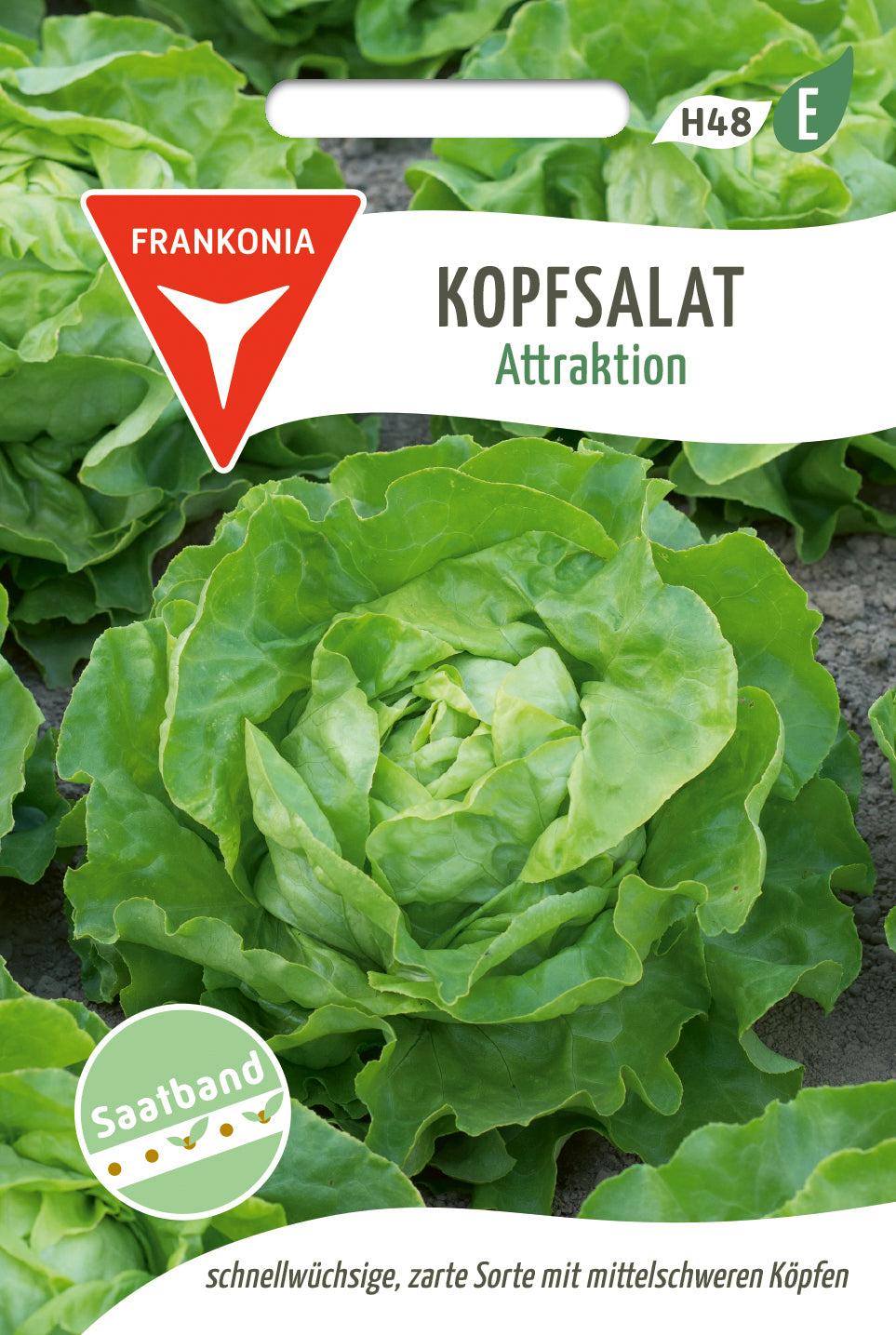 Frankonia Samen Kopfsalat Attraktion Saatband
