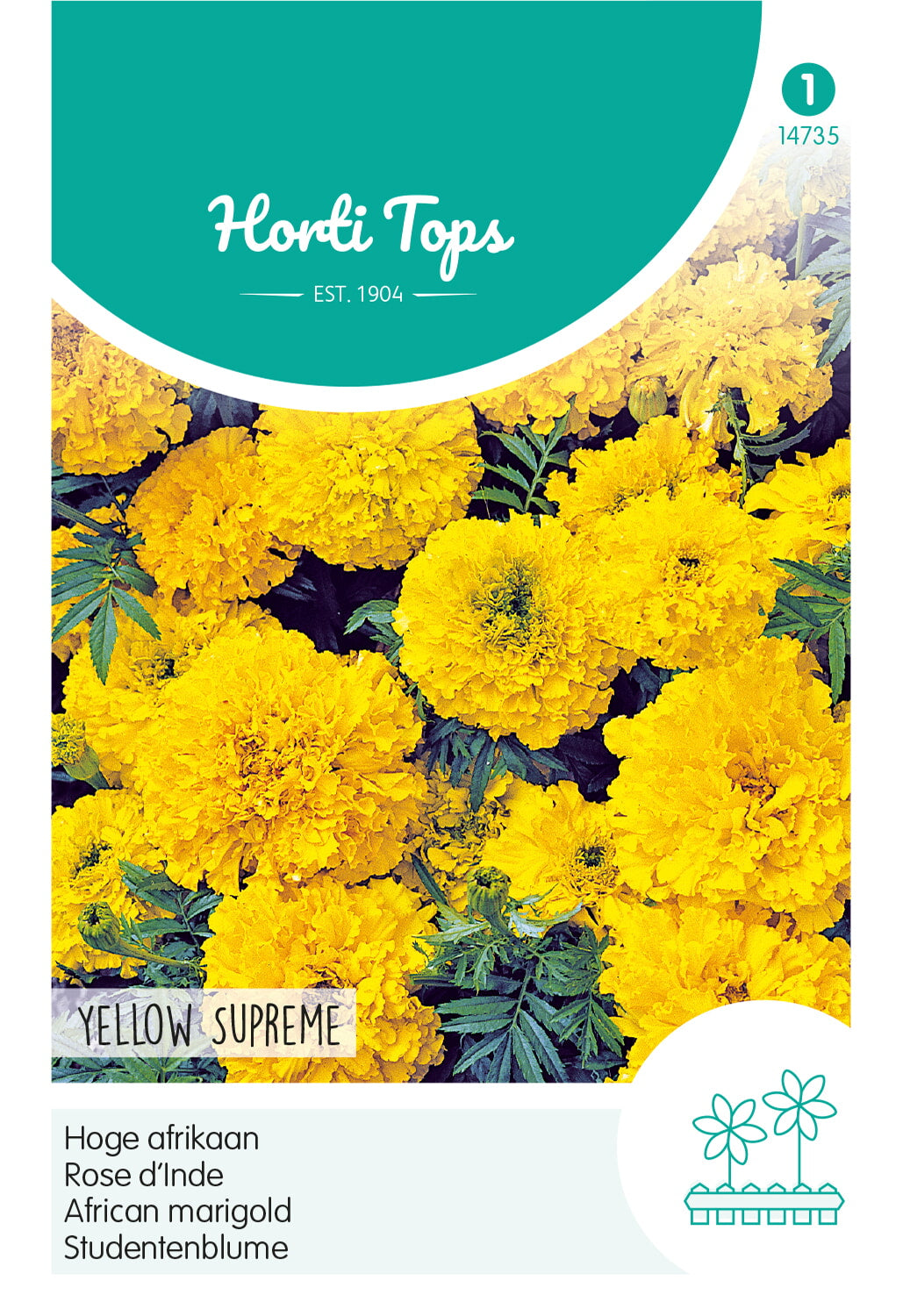 Horti Tops Aufrechte Studentenblume Hohe Gefüllte Yellow Supreme