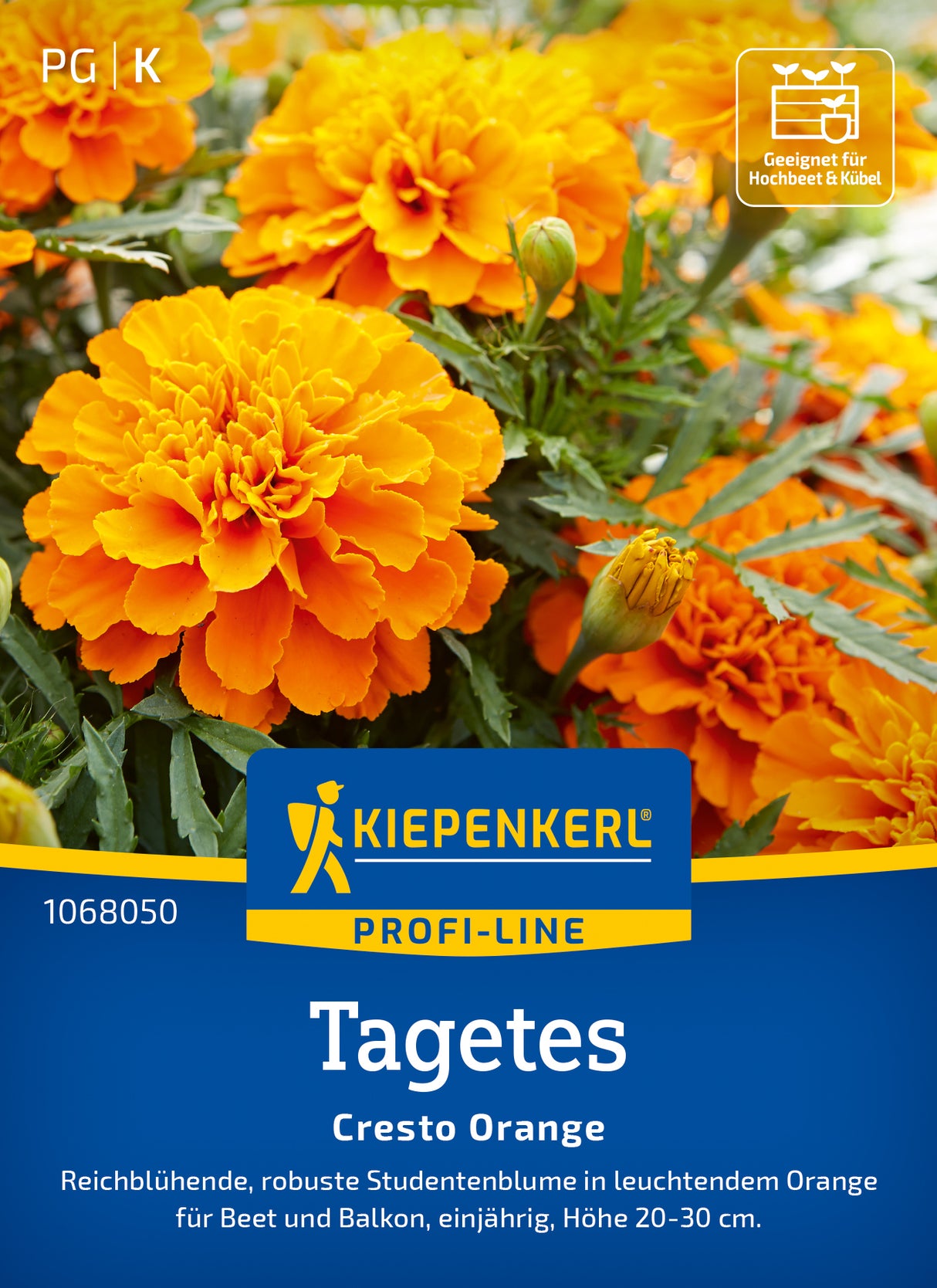 Kiepenkerl Studentenblumen Cresto Orange