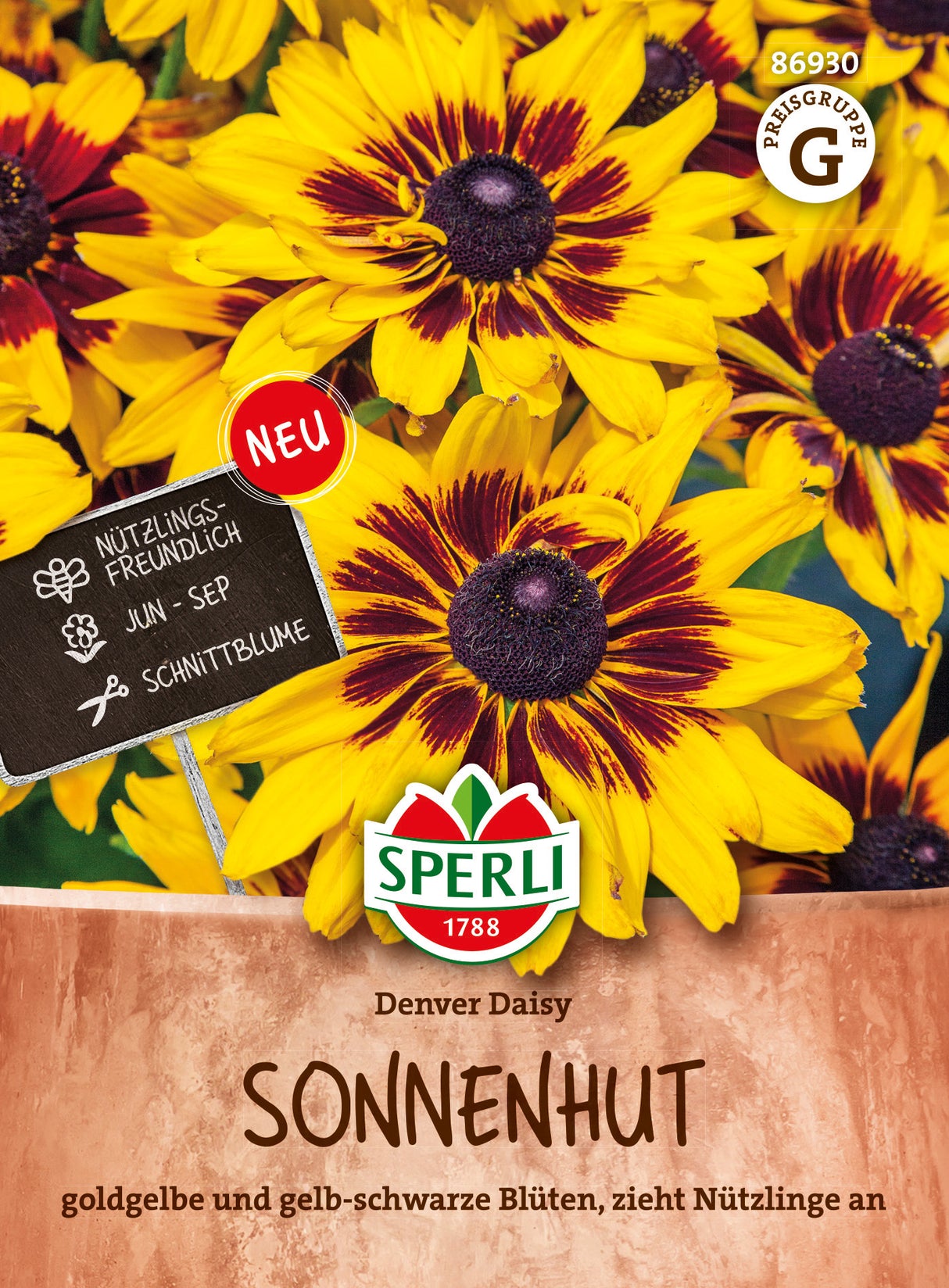 SPERLI Sonnenhut Denver Daisy