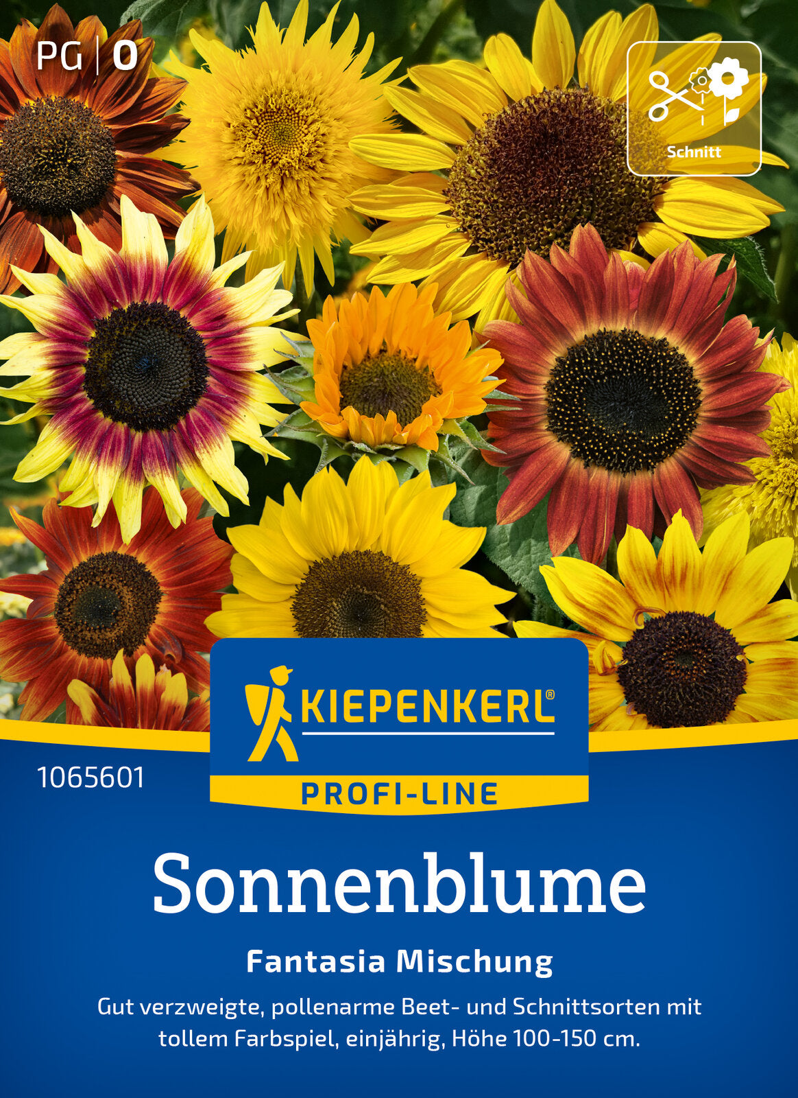 Kiepenkerl Sonnenblumen Fantasia Mischung