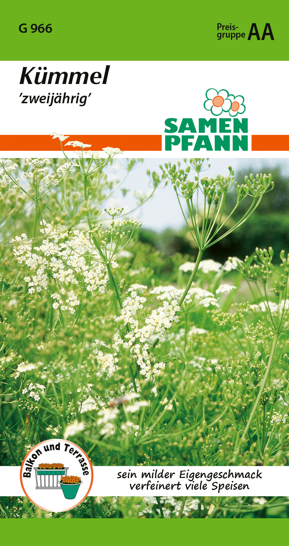 Samen Pfann Kümmel Zweijährig