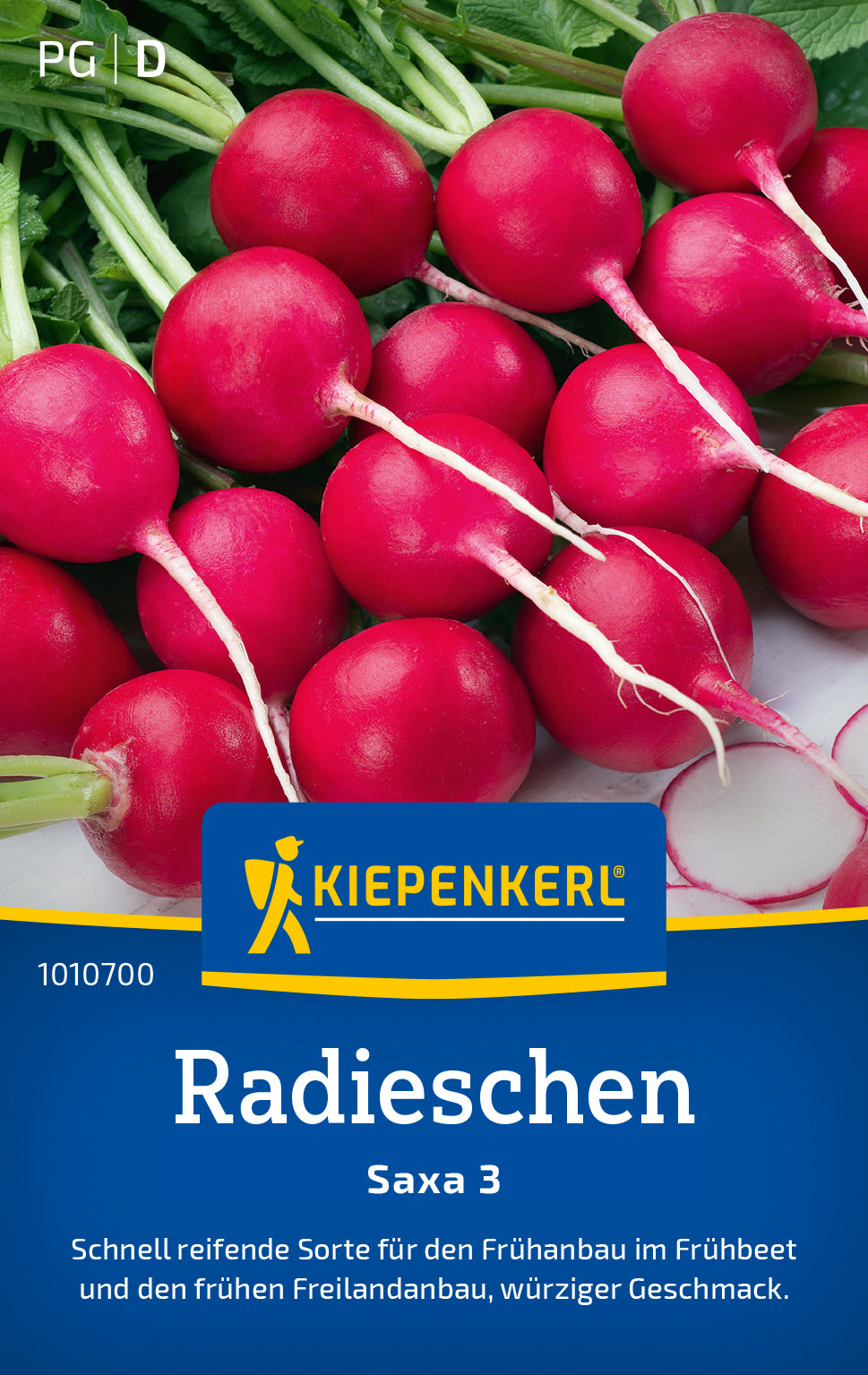 Kiepenkerl Radieschen Saxa 3