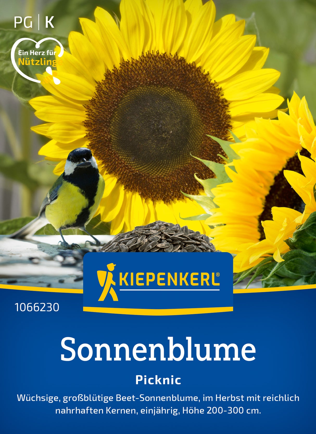 Kiepenkerl Sonnenblumen Name ?