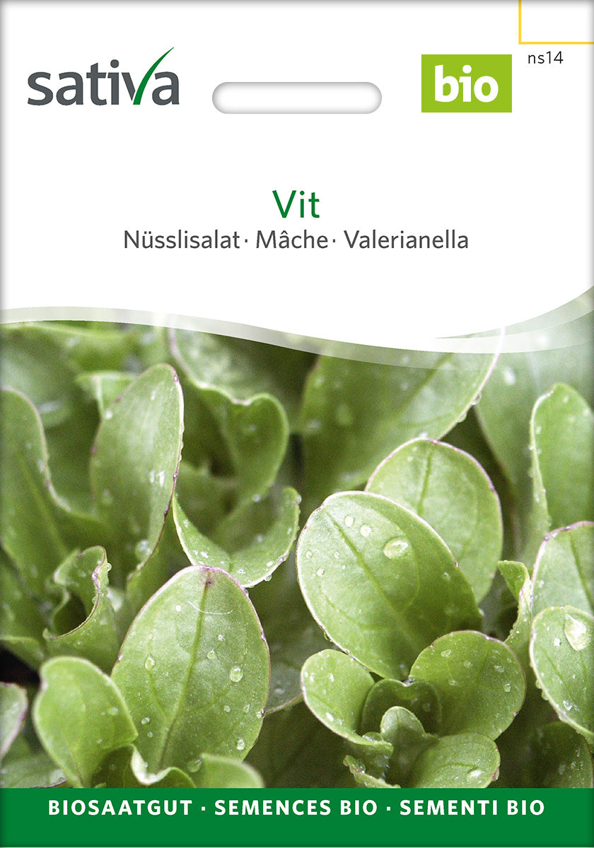 Sativa Nüsslisalat Vit