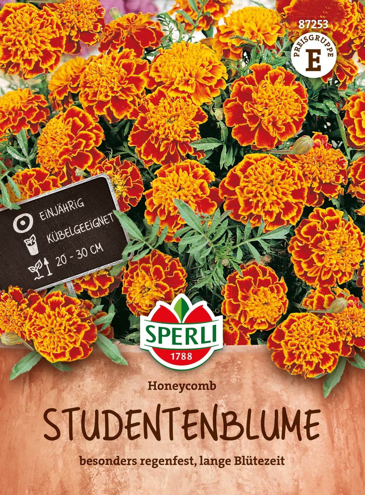 SPERLI Studentenblume Honeycomb