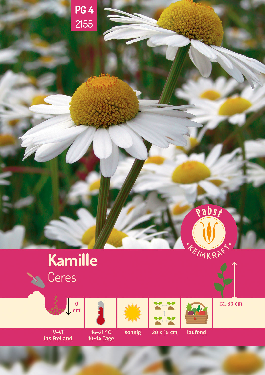 Pabst Keimkraft Kamille Echte einjährig