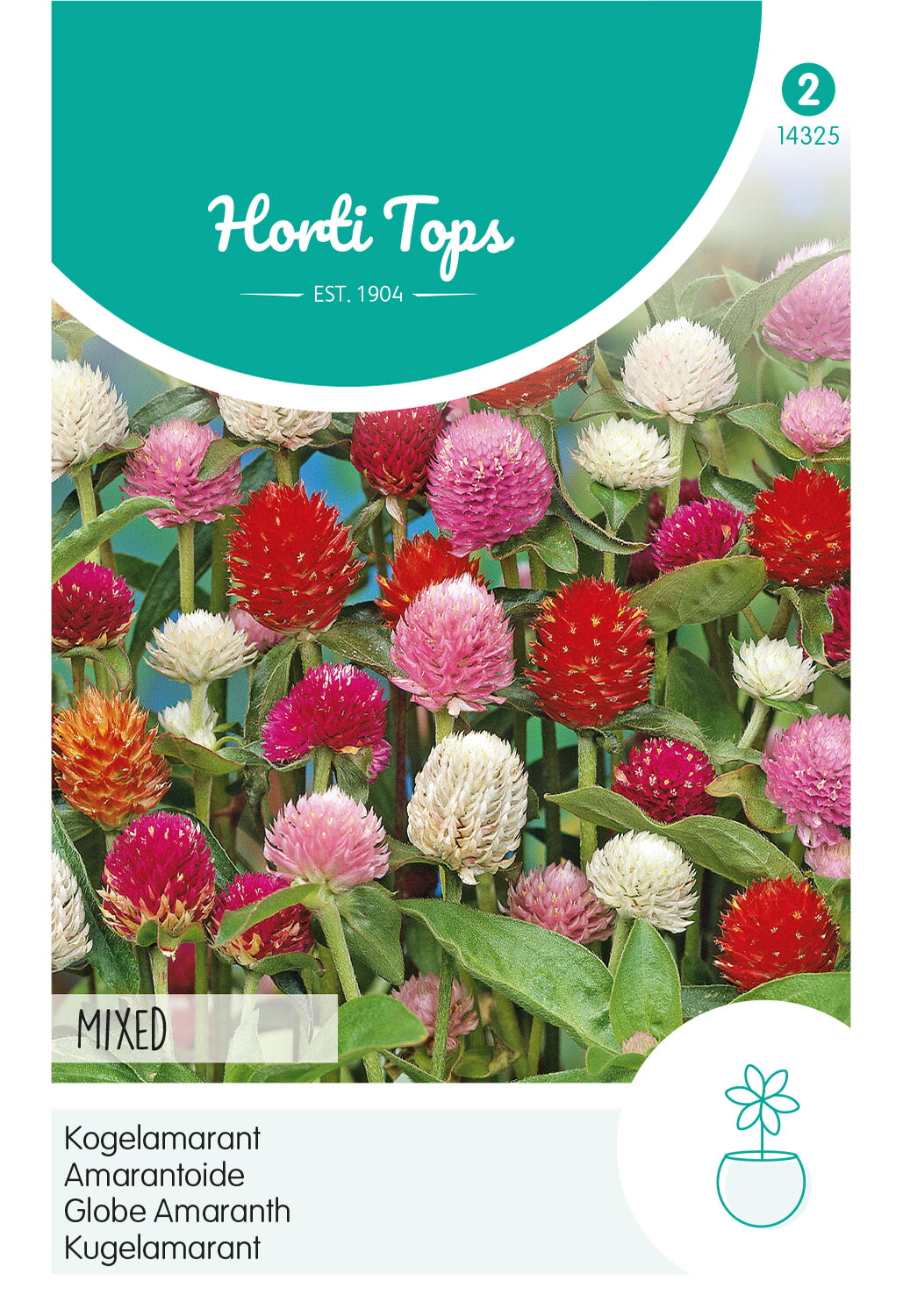 Horti Tops Kugelamarant Globosa Mischung