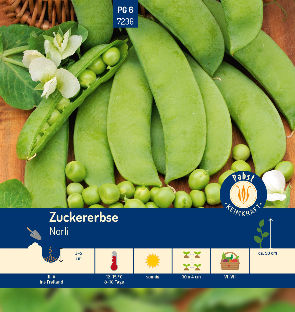 Pabst Keimkraft Zuckererbsen Norli