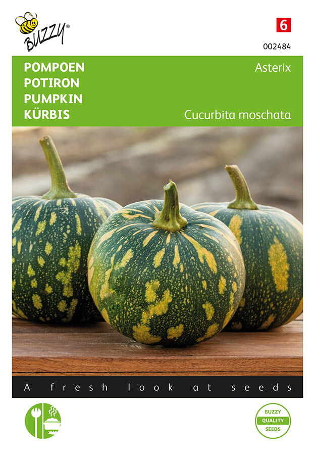 Buzzy Seeds Kürbis Asterix