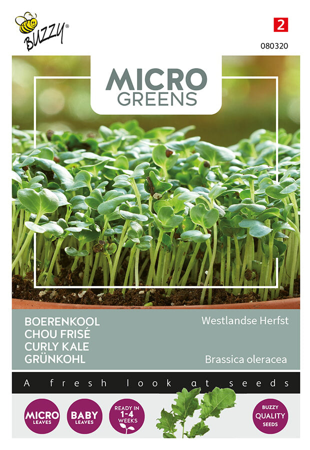 Buzzy Seeds Microgreens Grünkohl Westländer Halbhoher