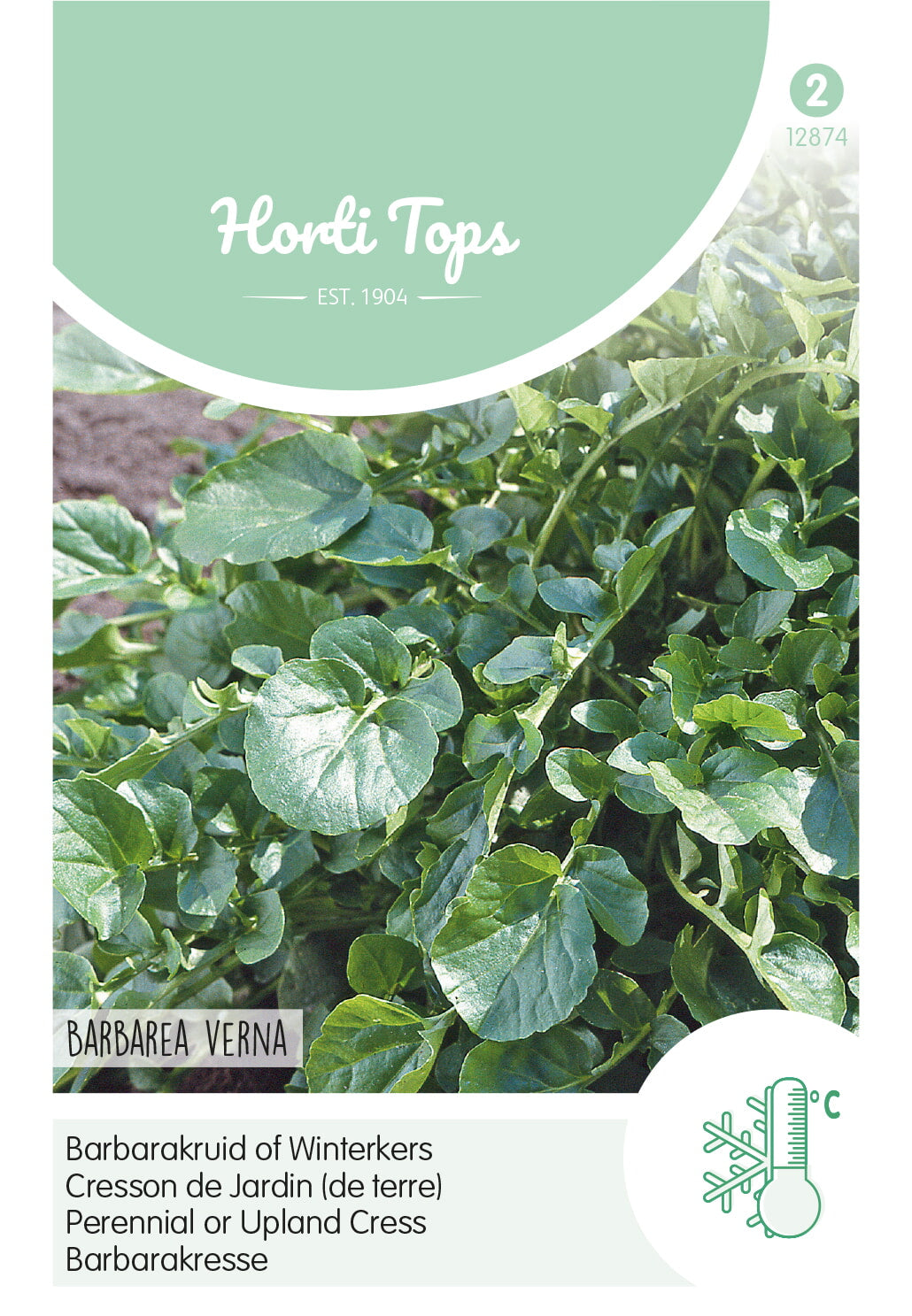 Horti Tops Barbarakresse Barbarea Vulgaris