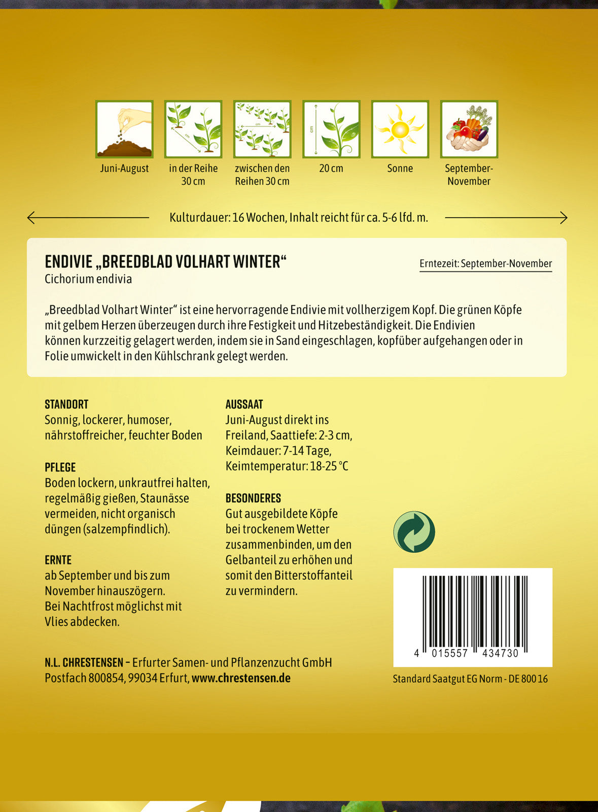 N.L. Chrestensen Endivie Breedblad Volhart Winter