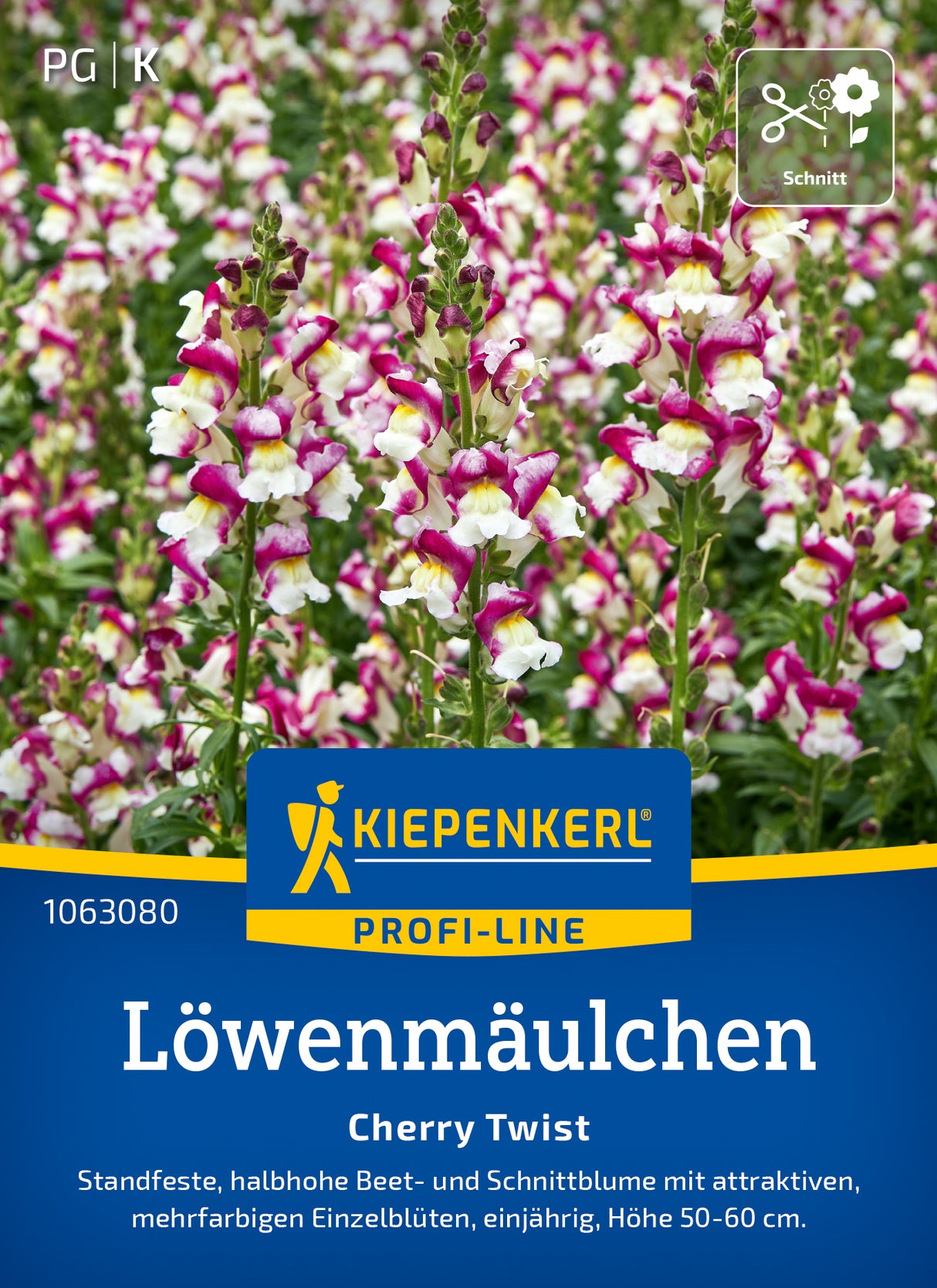 Kiepenkerl Löwenmäulchen Cherry Twist