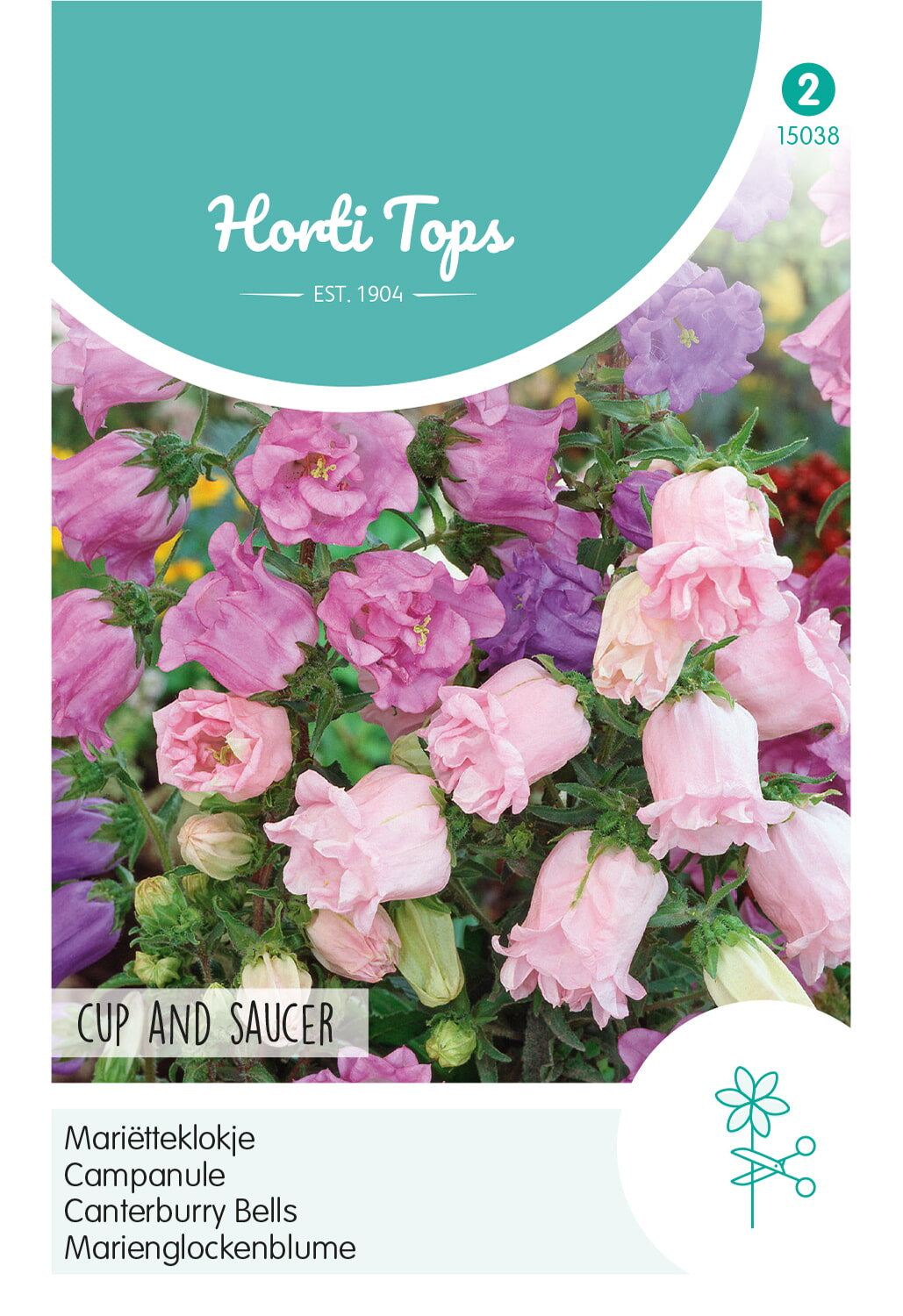 Horti Tops Glockenblume Medium Calycanthema Mischung