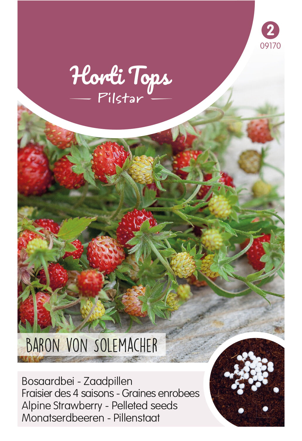 Horti Tops Monatserdbeeren Pillenstaat