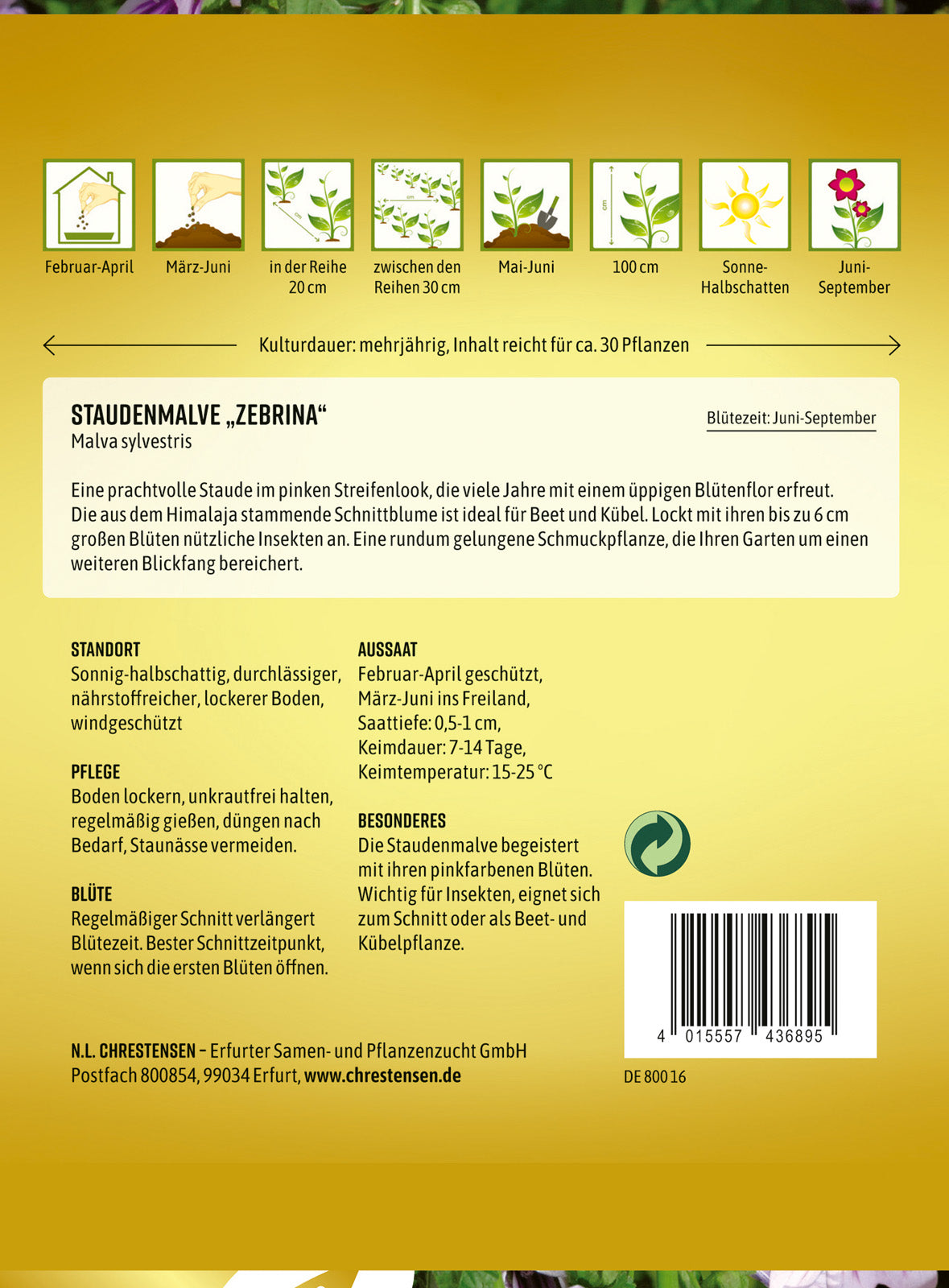 N.L. Chrestensen Staudenmalve Zebrina