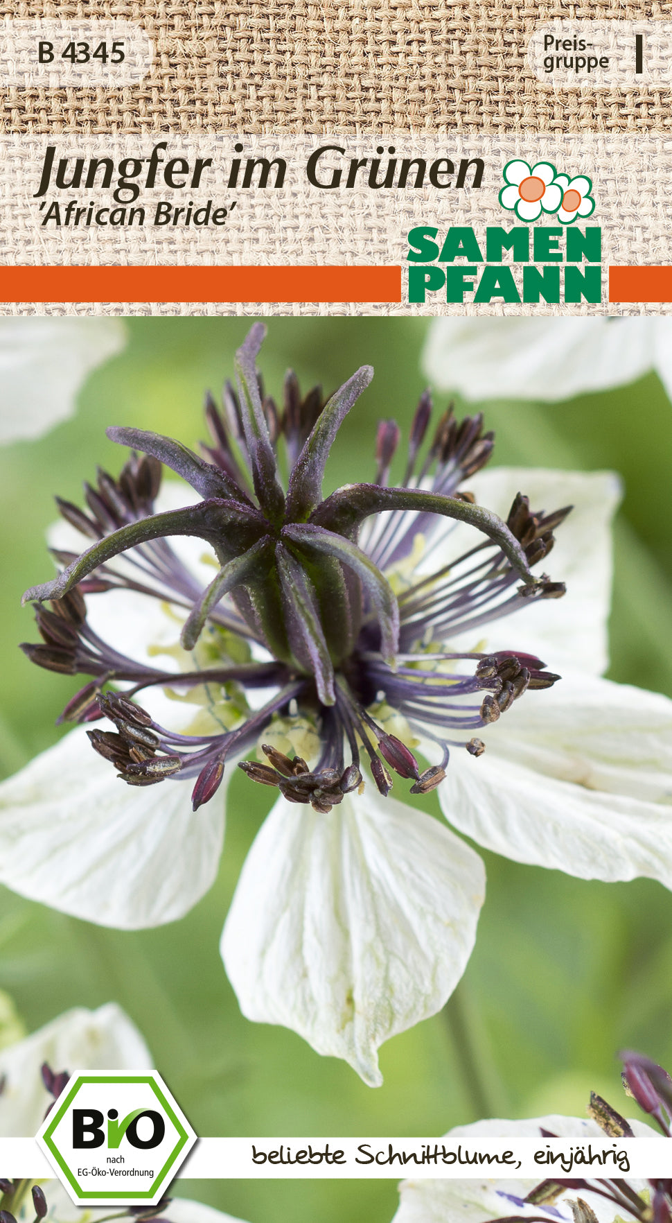 Samen Pfann BIO Jungfer im Grünen African Bride