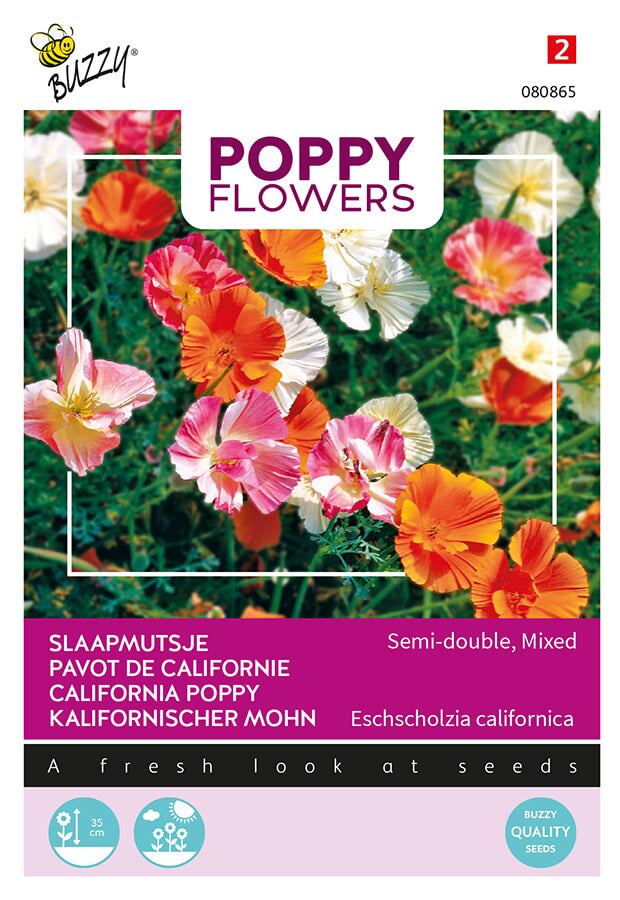 Buzzy Seeds Kalifornischer Mohn