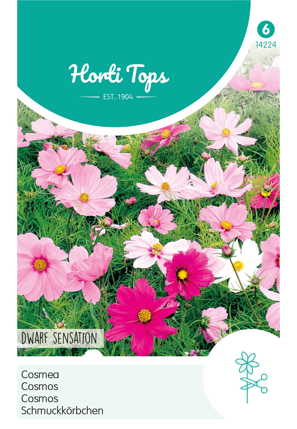 Horti Tops Schmuckkörbchen Dwarf Sensation Mischung