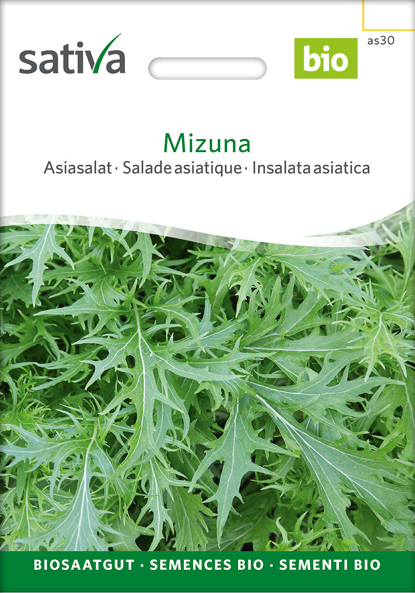 Sativa Asiasalat Mizuna