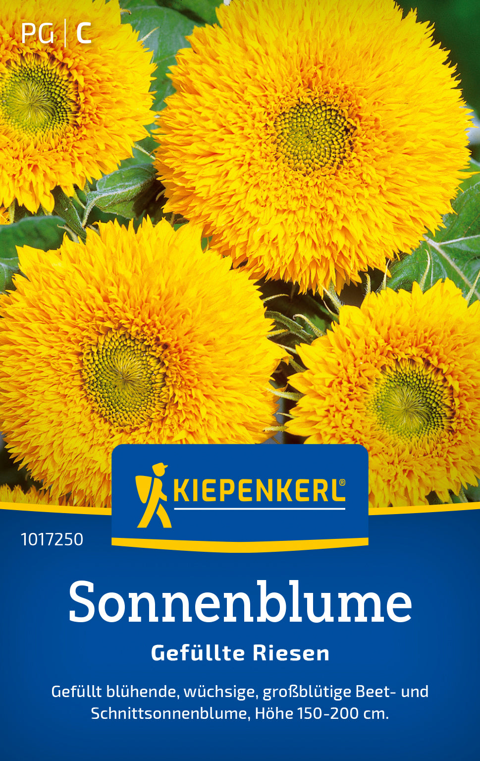 Kiepenkerl Sonnenblumen Gefüllte Riesen
