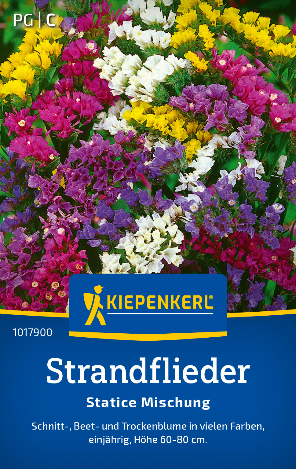 Kiepenkerl Strandflieder Statice Mischung