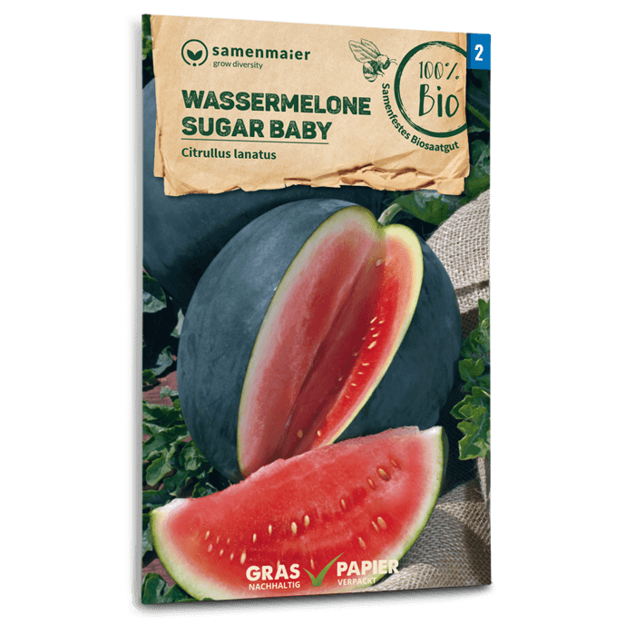Samen Maier BIO Wassermelone Sugar Baby
