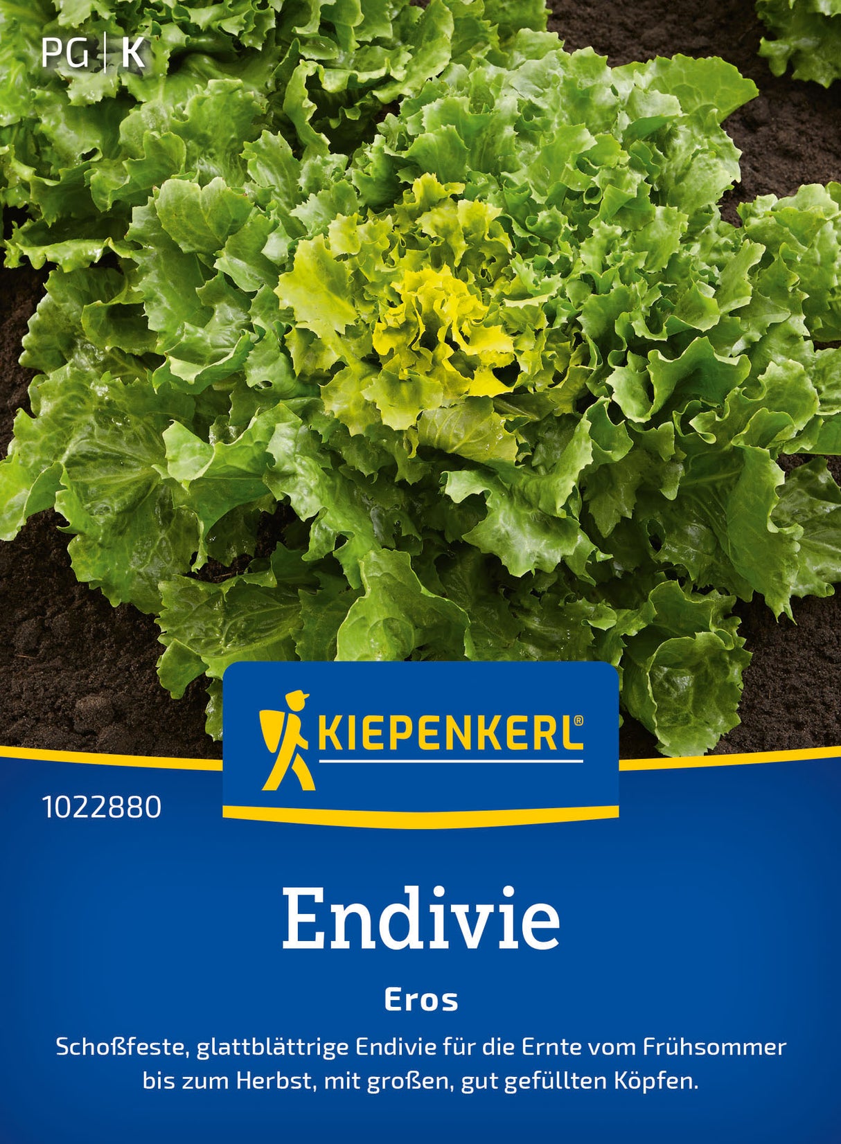 Kiepenkerl Endiviensalat Eros