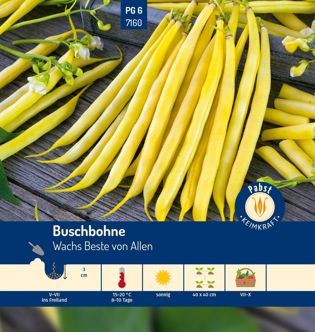Pabst Keimkraft Buschbohnen Wachs Beste von Allen