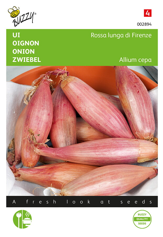 Buzzy Seeds Zwiebel Rossa lunga di Firenze