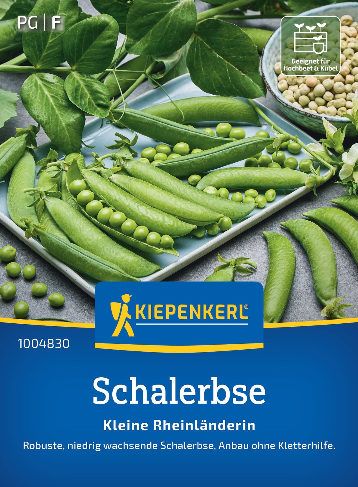 Kiepenkerl Schalerbse Kleine Rheinländerin