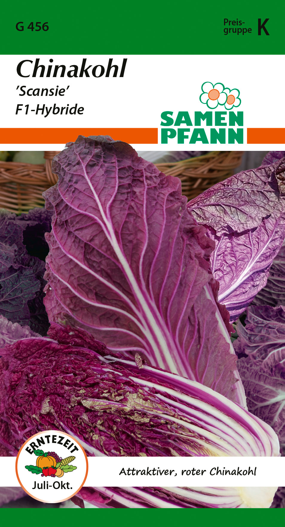 Samen Pfann Chinakohl Scansie