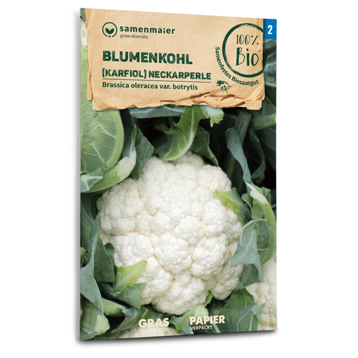 Samen Maier BIO Blumenkohl Neckarperle