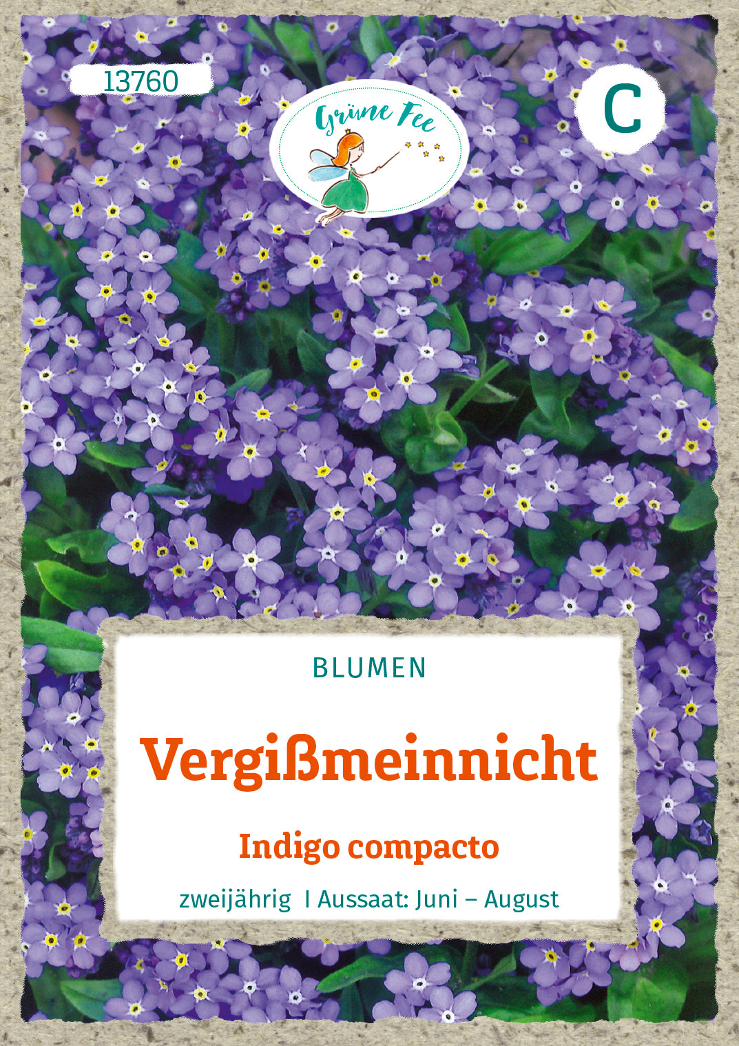 Grüne Fee Vergissmeinnicht Indigo compacto