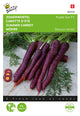 Buzzy Seeds Möhren Purple Elite F1