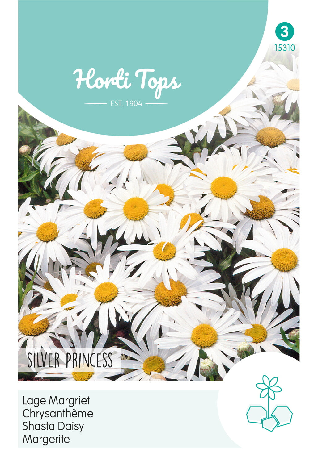 Horti Tops Margerite Silver Princess