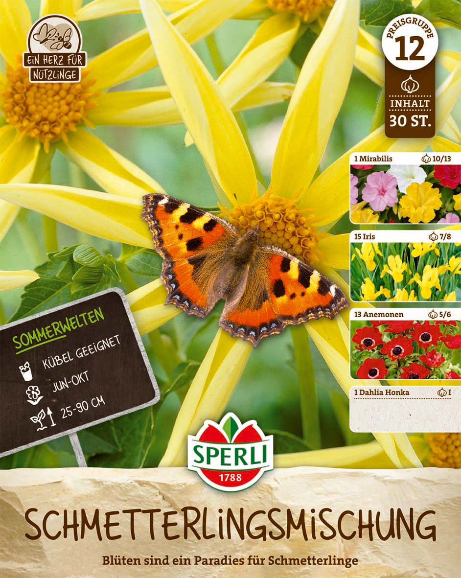 SPERLI Blumenzwiebeln Schmetterlingsmischung